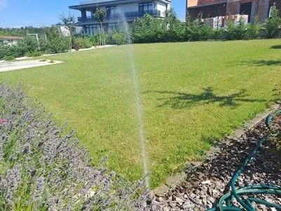 Gondozott kert – metszett növények és tiszta ágyások